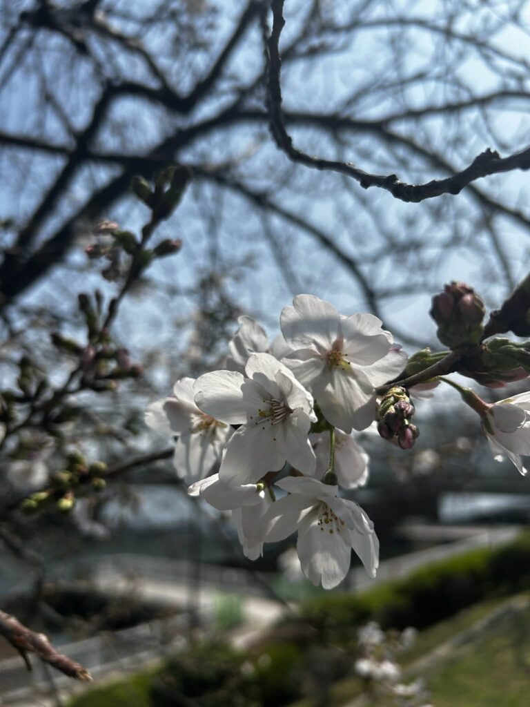 お知らせのサムネイル