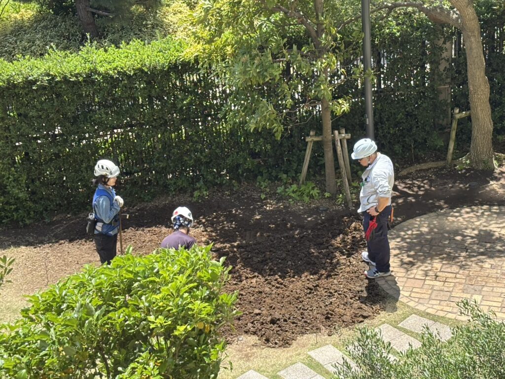 お知らせのサムネイル