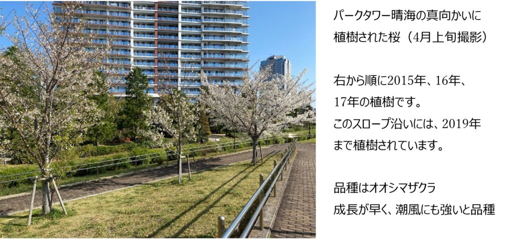 お知らせのサムネイル
